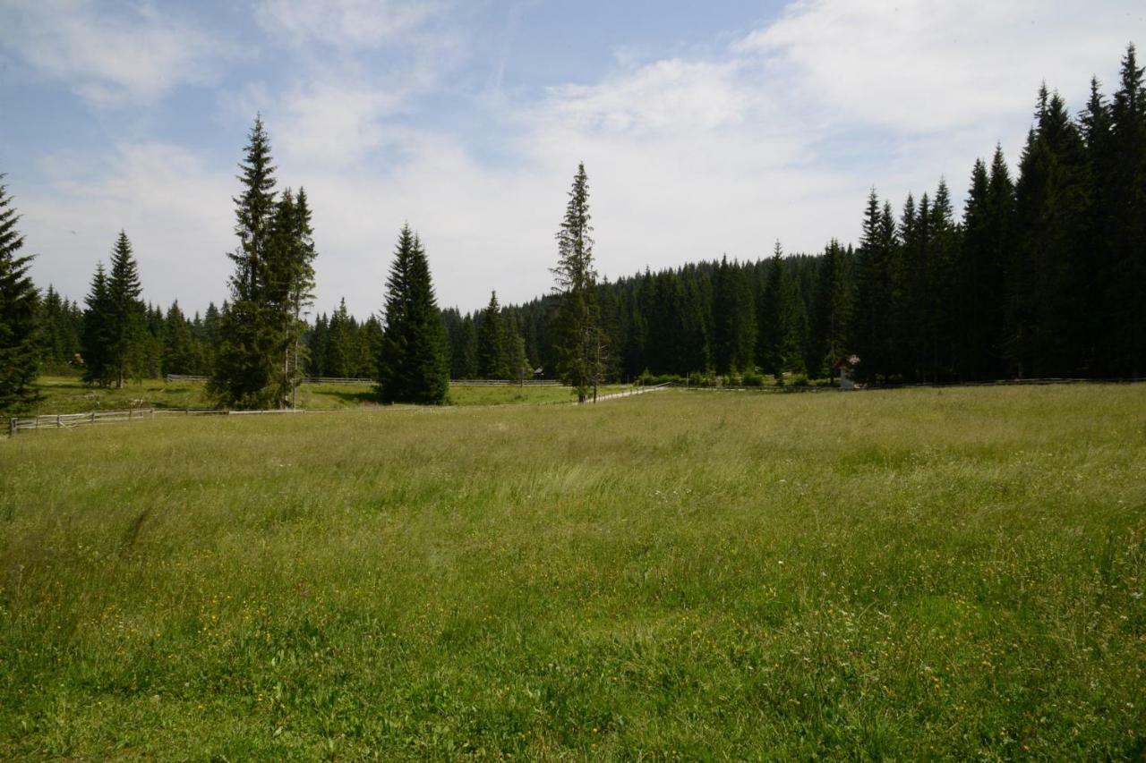 Pocitniska Hisa Jurcek Pokljuka Villa Goreljek ภายนอก รูปภาพ