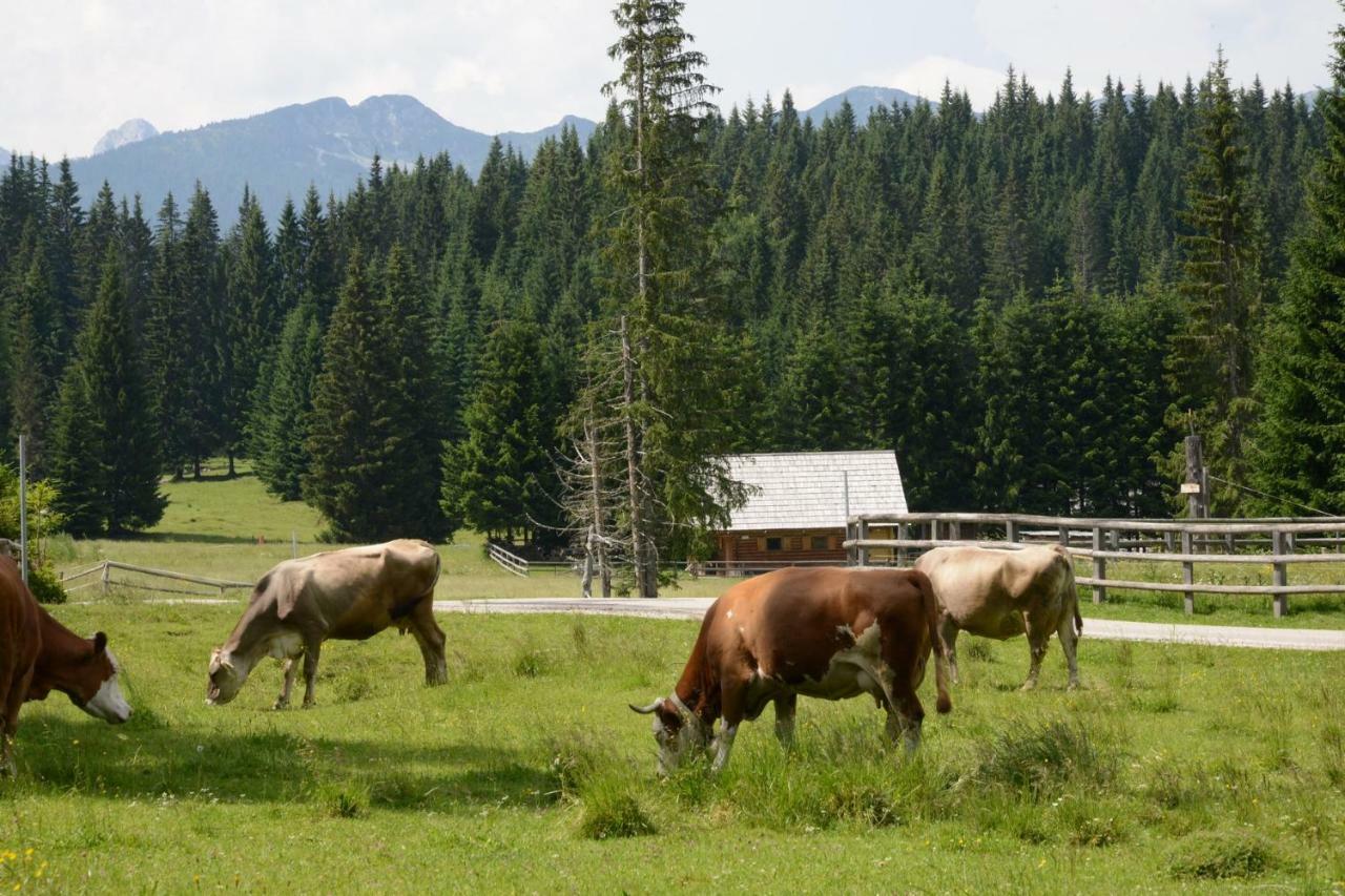 Pocitniska Hisa Jurcek Pokljuka Villa Goreljek ภายนอก รูปภาพ